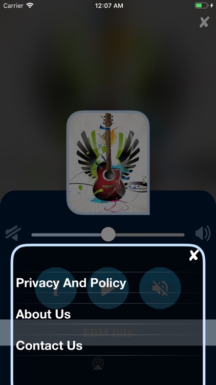 Twins Industrial  Music Hits screenshot-3