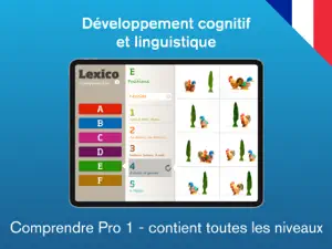 Lexico Comprendre 1 Pro screenshot #2 for iPad