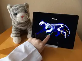 Game screenshot Dr. PetPlay apk