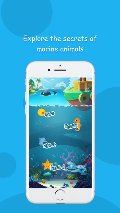 Sea animal adventure