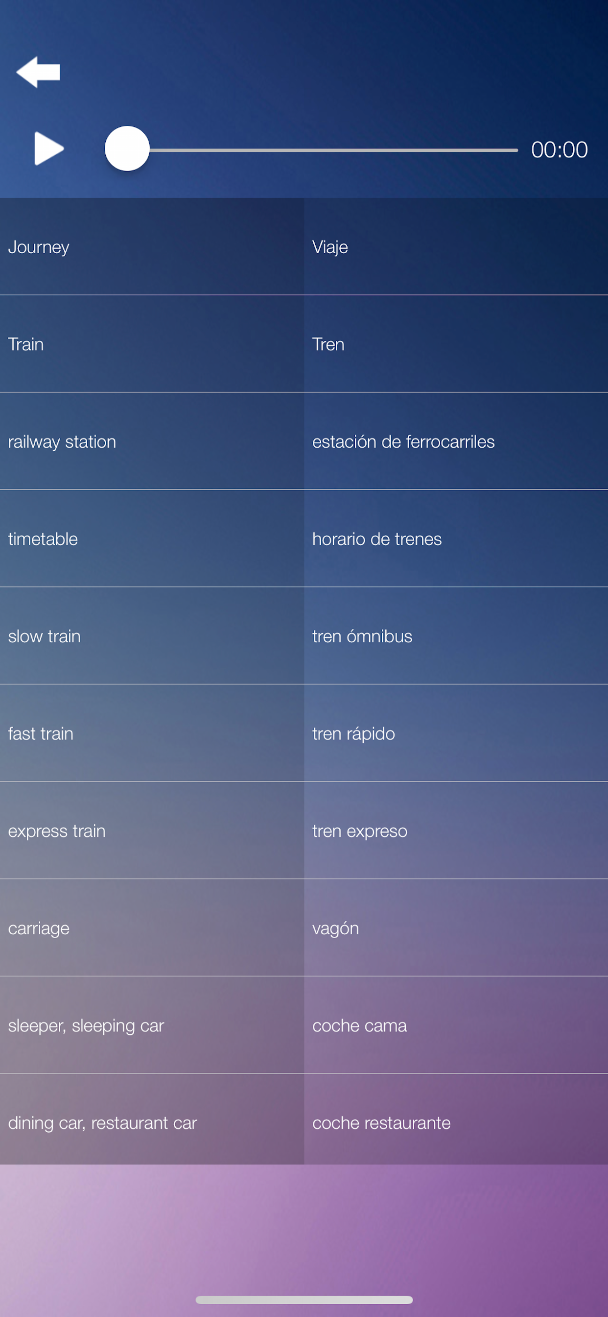Learn Spanish Language Course screenshot 6