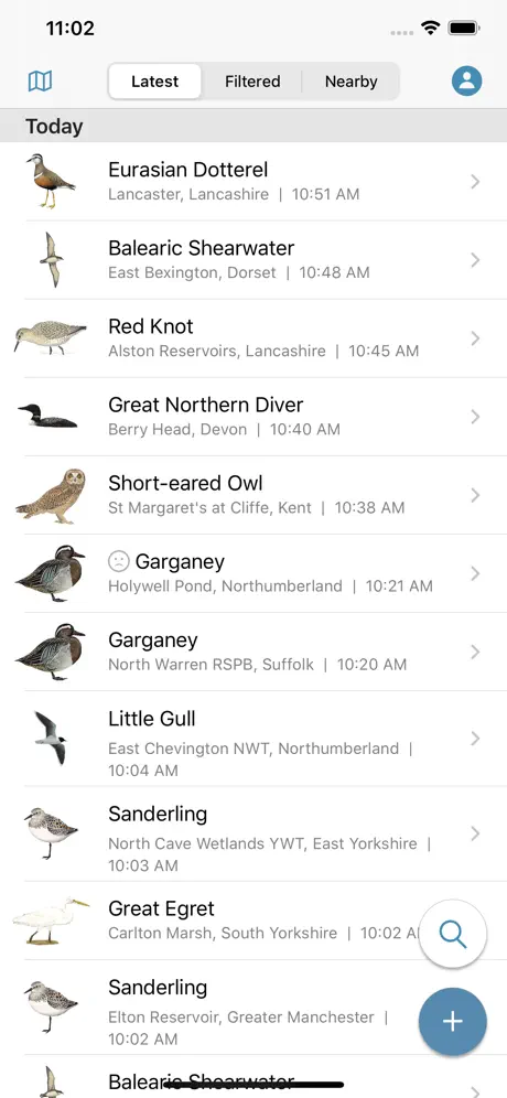 BirdGuides