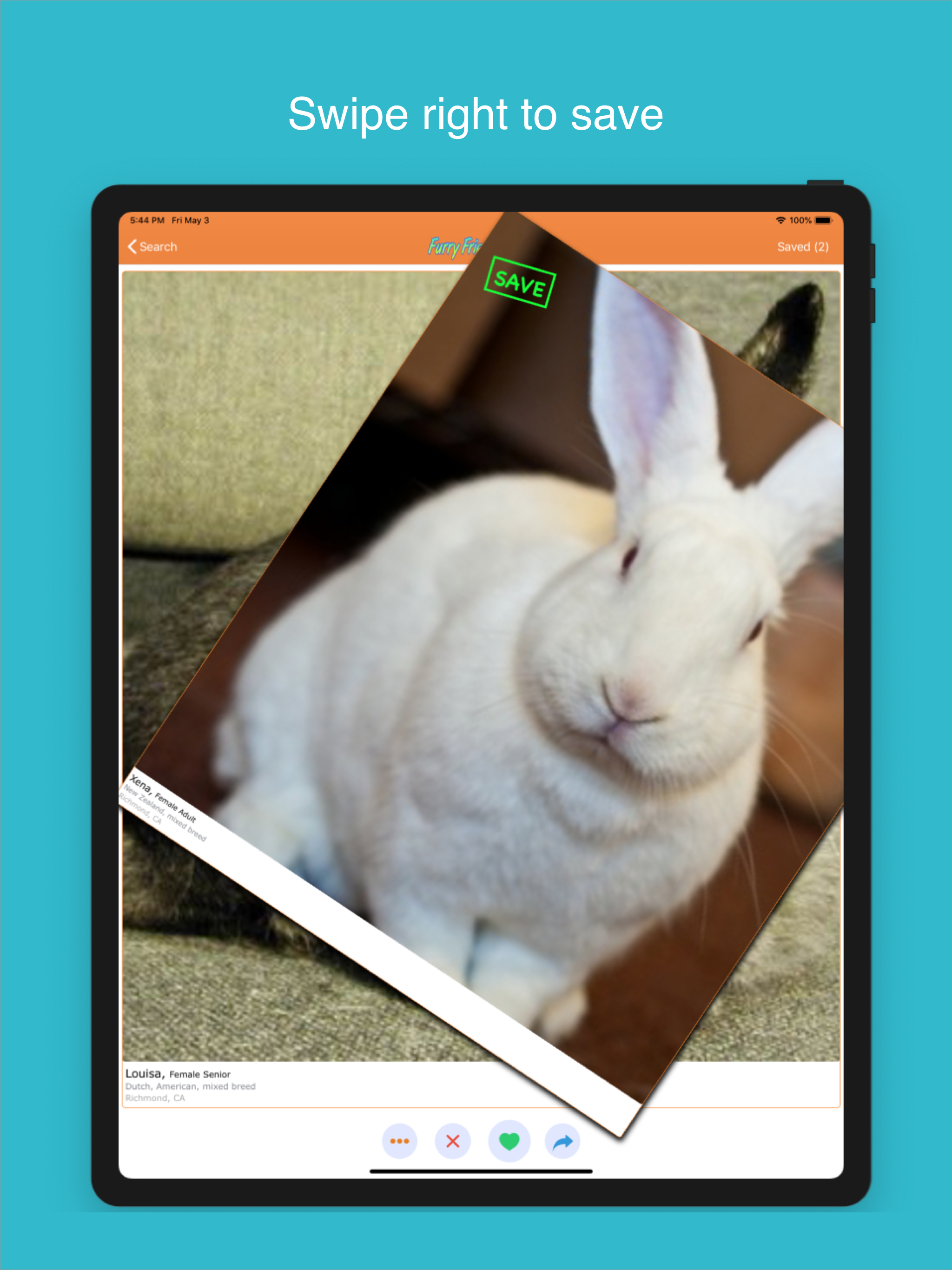 Furry Friend Finder Pet Rescue screenshot 8