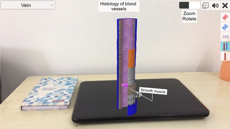 AR Vascular system screenshot-5