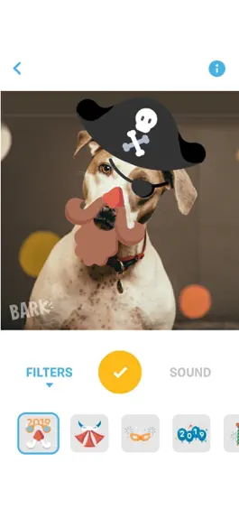 Game screenshot Say BARK! mod apk