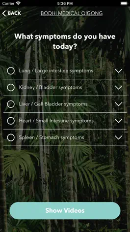 Game screenshot Bodhi Medical Qigong hack