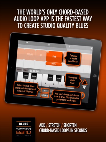 SessionBand Blues 1のおすすめ画像2