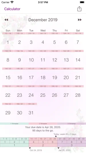 My Pregnancy Calendar screenshot 4