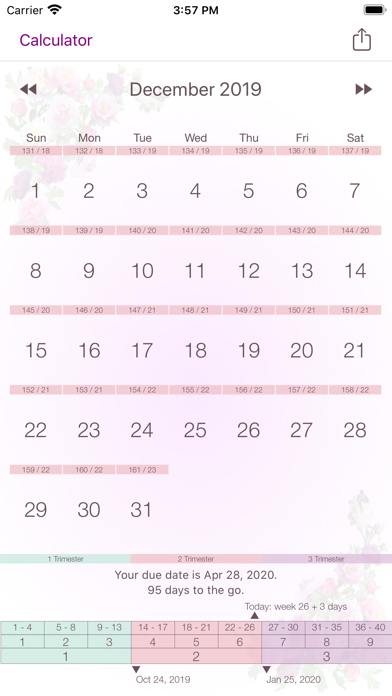 My Pregnancy Calendar Screenshot