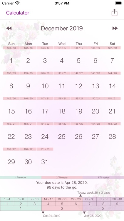 My Pregnancy Calendar screenshot-3