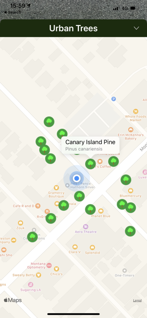 Urban Trees(圖6)-速報App
