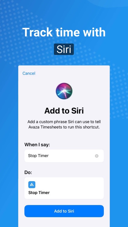 Avaza Timesheets screenshot-5