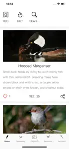 Bird ID-Picture&Audio screenshot #1 for iPhone