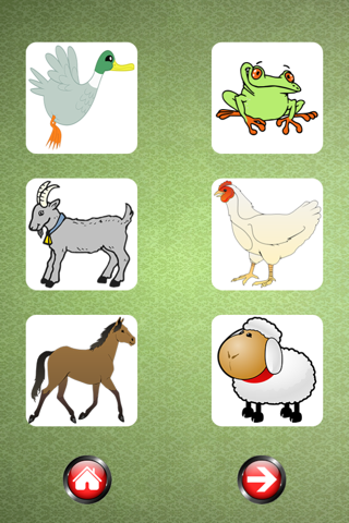 Sound Flash Cards of Animals screenshot 2