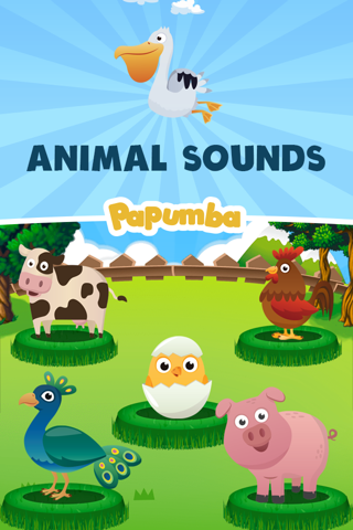 Learn The Animal Sounds - náhled