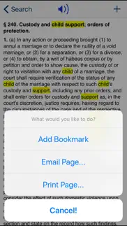 ny domestic relations law 2024 iphone screenshot 4