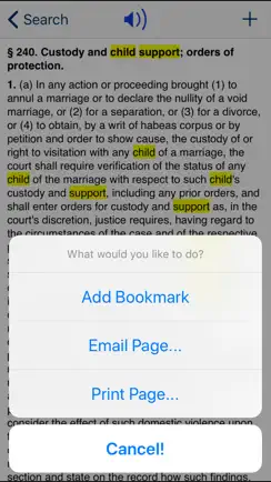 NY Domestic Relations Law 2026 iPhone image 4