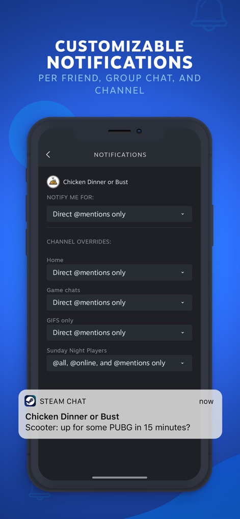 Steam Chat - The app offers robust notification customization, allowing users to configure preferences like 'Direct @mentions only' and receive timely mobile alerts.