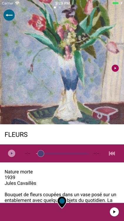 Musée Bernard d'Agesci screenshot-4