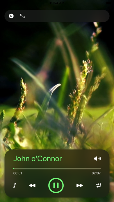 Screenshot #2 pour Musique Saint Patrick