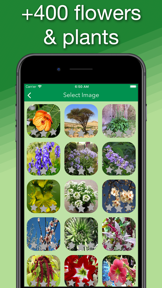 Language of Nature screenshot