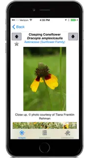 flora of texas: fw prairie iphone screenshot 4