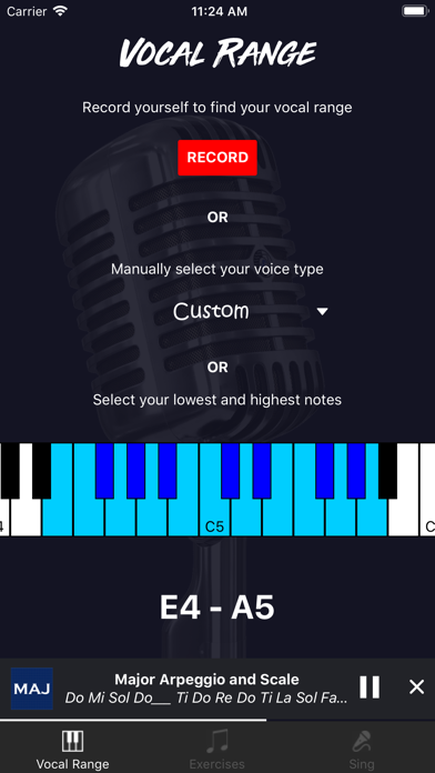 Vocalizer for iOS screenshot 4