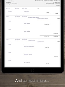 Standard Accounts - Invoicing screenshot #5 for iPad