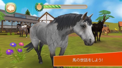 Horse Hotel - 馬のためのケア screenshot1