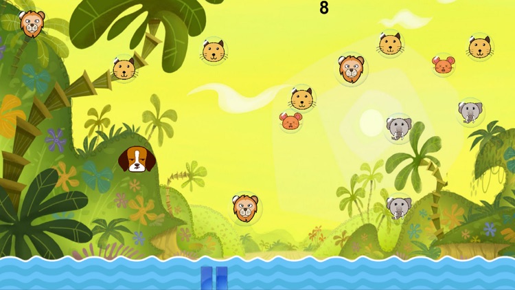 Animal Bubbles Funny