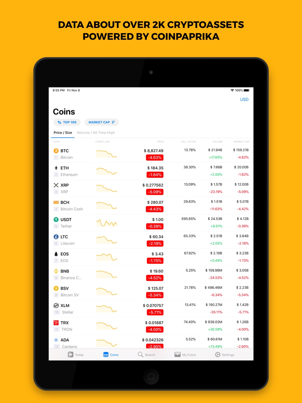 iPad screenshot