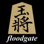 Floodgate for iOS app download