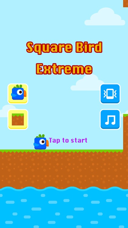 Square Bird Extreme