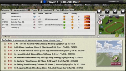 Starters Orders 7 Horse Racing Screenshot