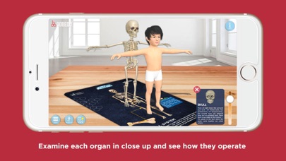 Know our Anatomy by OOBEDU Screenshot