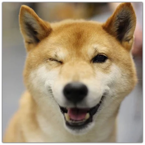 Ultimate Dogs Sticker Pack