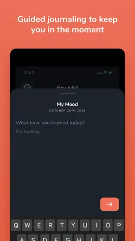 Game screenshot Mood‏ - Guided Journaling apk