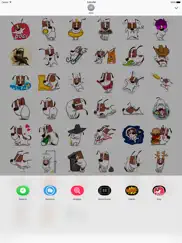 dogi ipad images 3