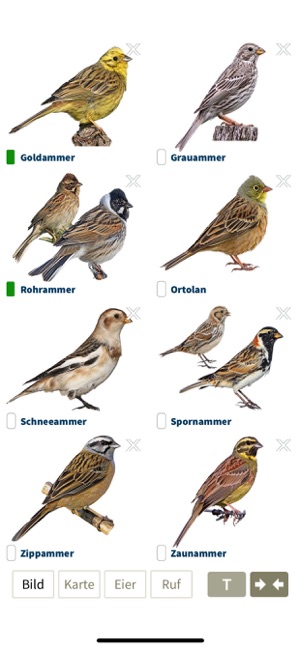 NABU Vogelwelt(圖7)-速報App