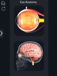 my eye anatomy ipad resimleri 2