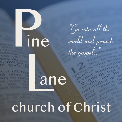 Pine Lane icon