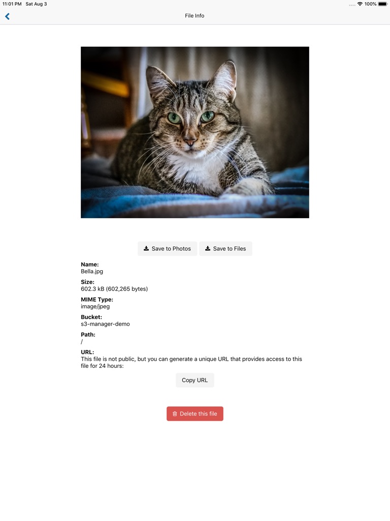 【图】AWS S3 Manager(截图3)