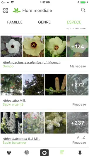 Capture d'écran de PlantNet sur iPhone 4