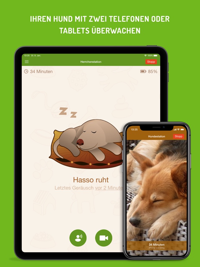 Hundemonitor im App Store