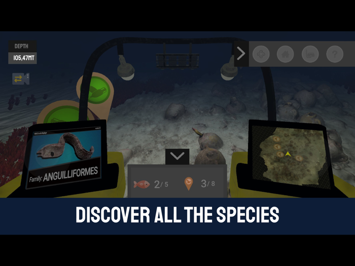 Dry Visit - Xlendi Shipwreck