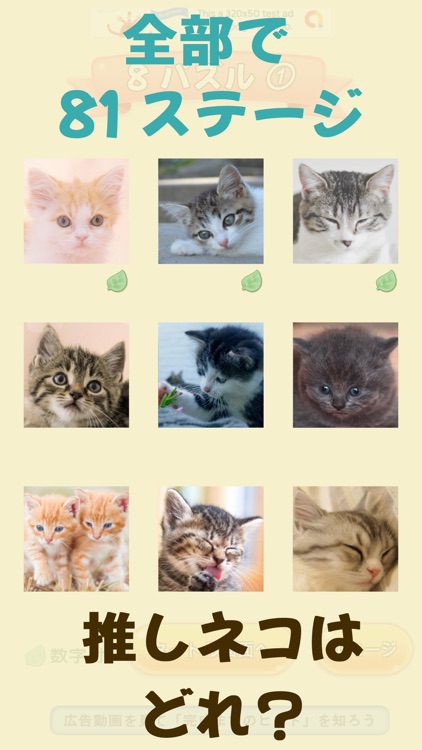 ネコのパズルゲーム(パネルを動かして写真を完成させよう)
