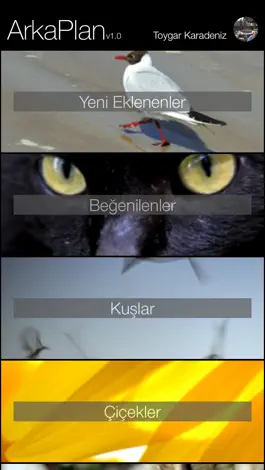 Game screenshot ArkaPlan apk