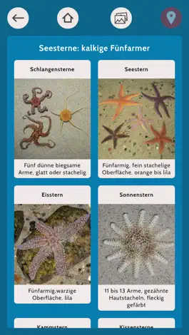 Game screenshot Beach Explorer mod apk