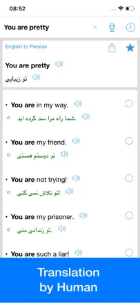 Persian Translator Offline: Screenshot 3 von 4