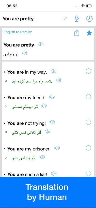 Persian Translator Offline: Screenshot 3 von 4